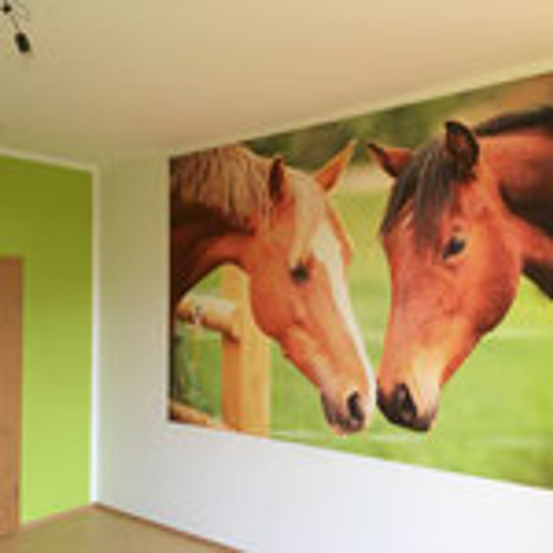 Zimmer mit Fototapete und grüner Wandfarbe